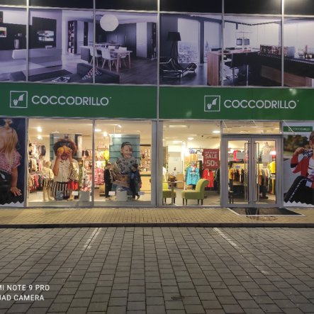 Coccodrillo
